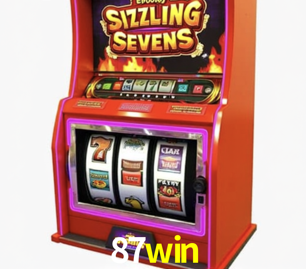Security Systems 87win
